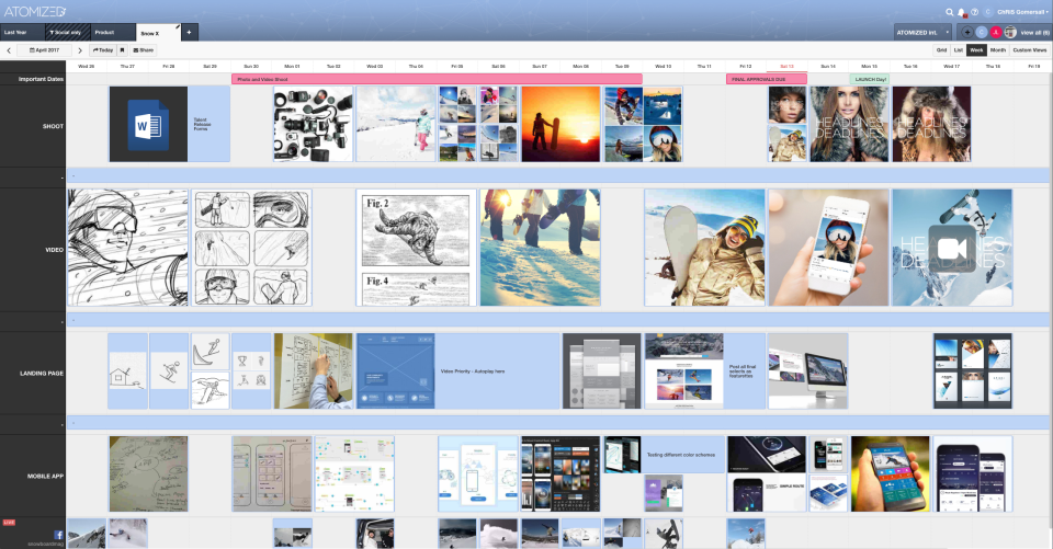 screenshot of ATOMIZED