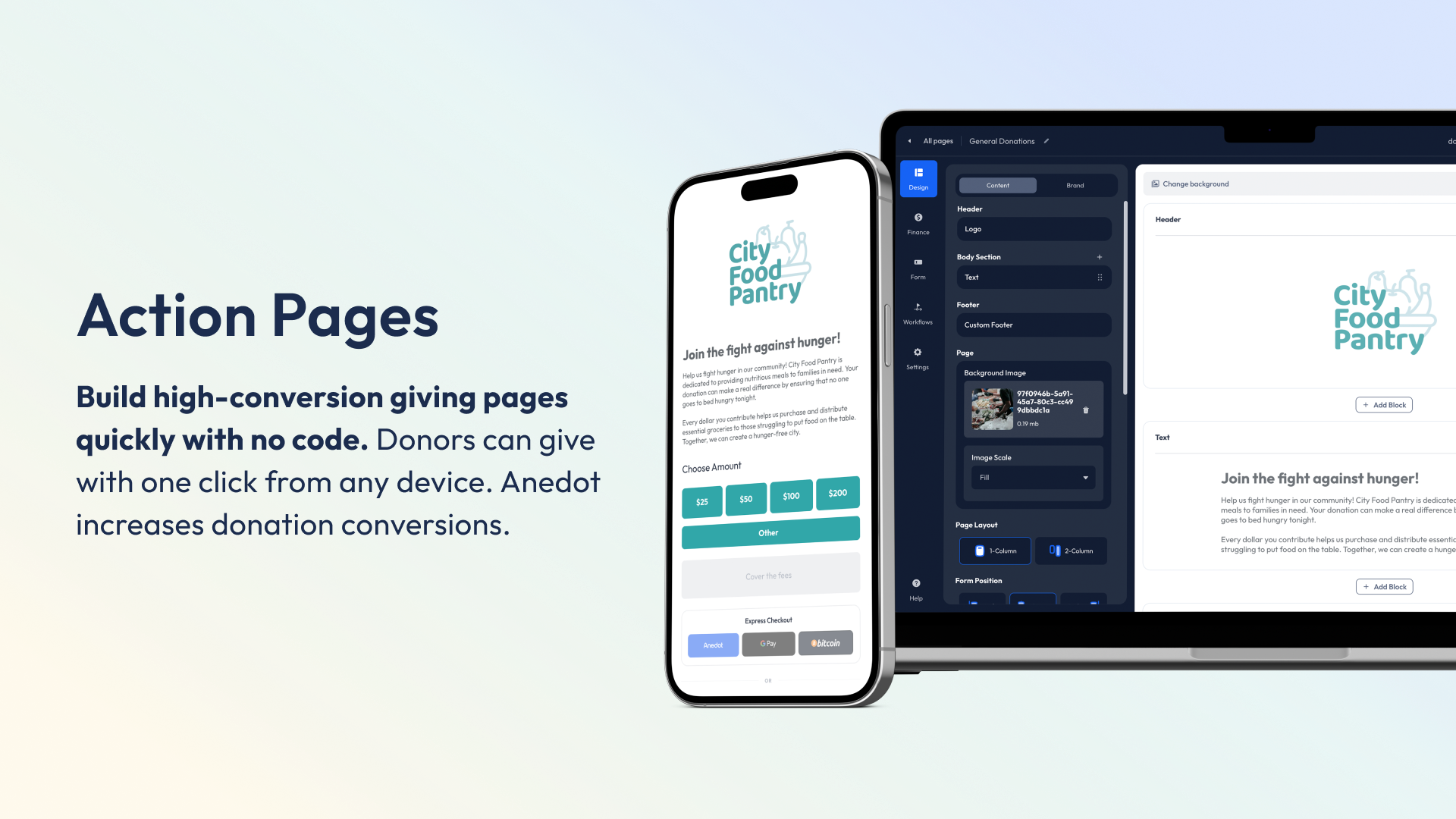 screenshot of Anedot