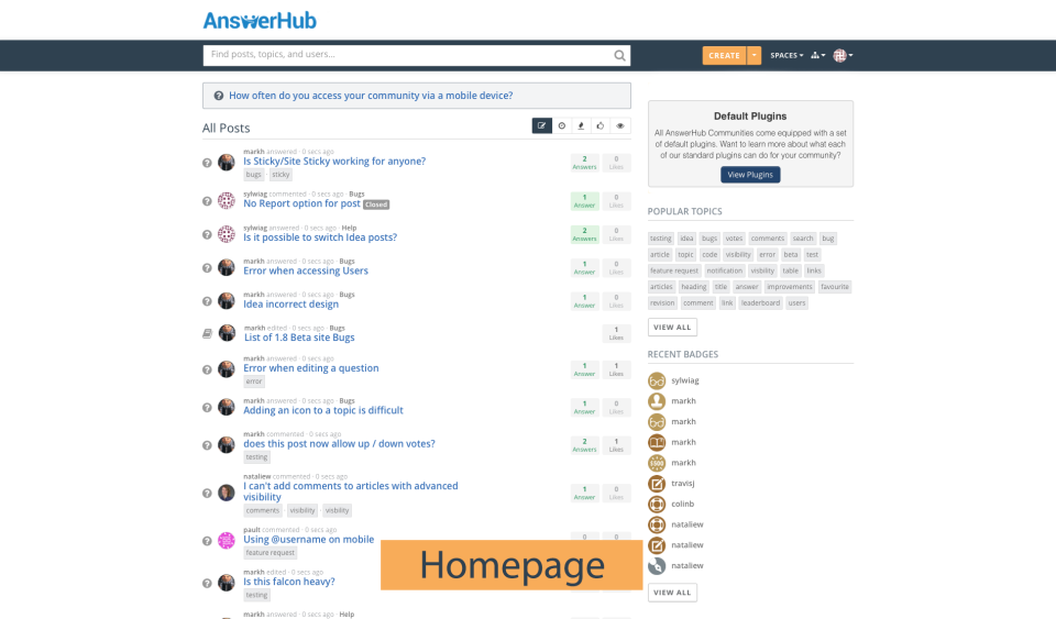screenshot of AnswerHub