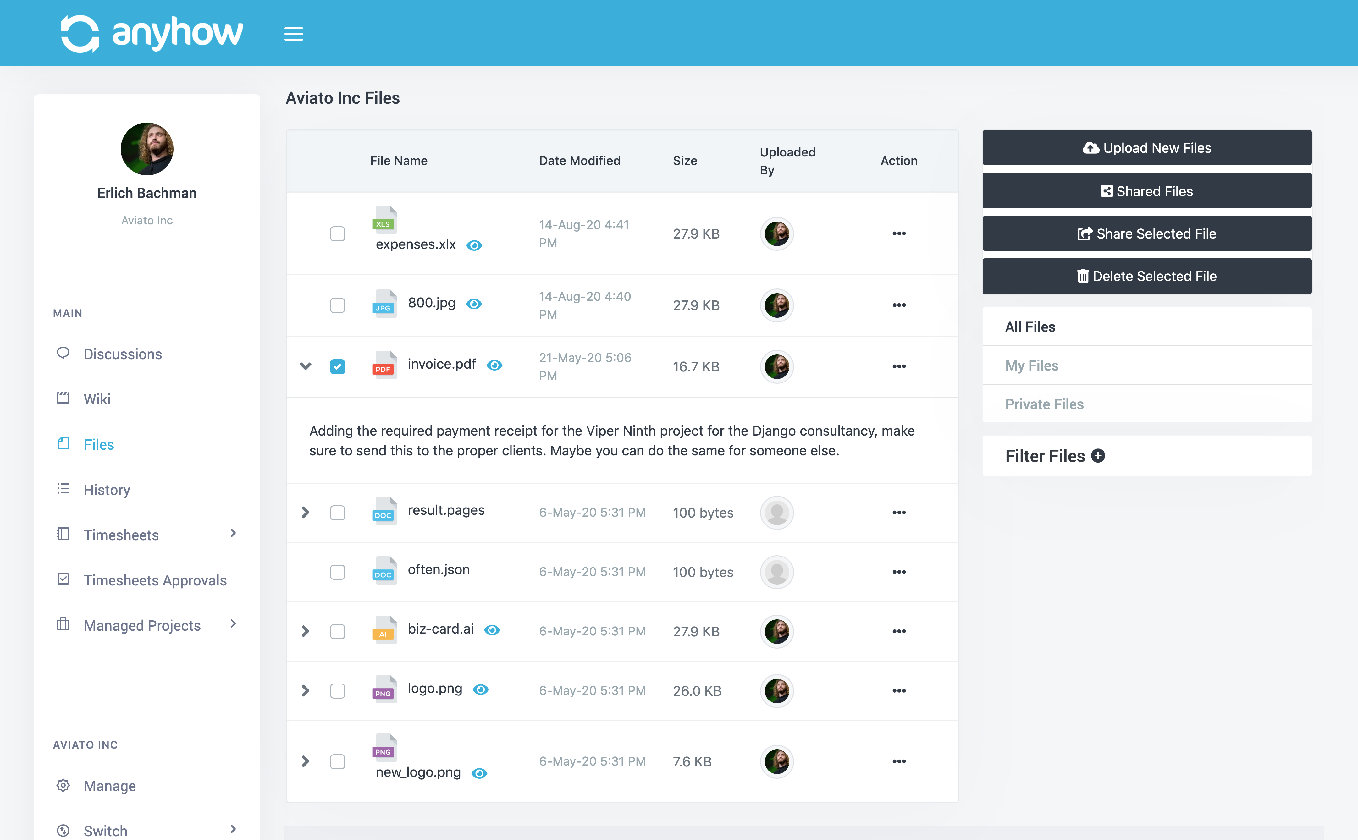 screenshot of AnyHow