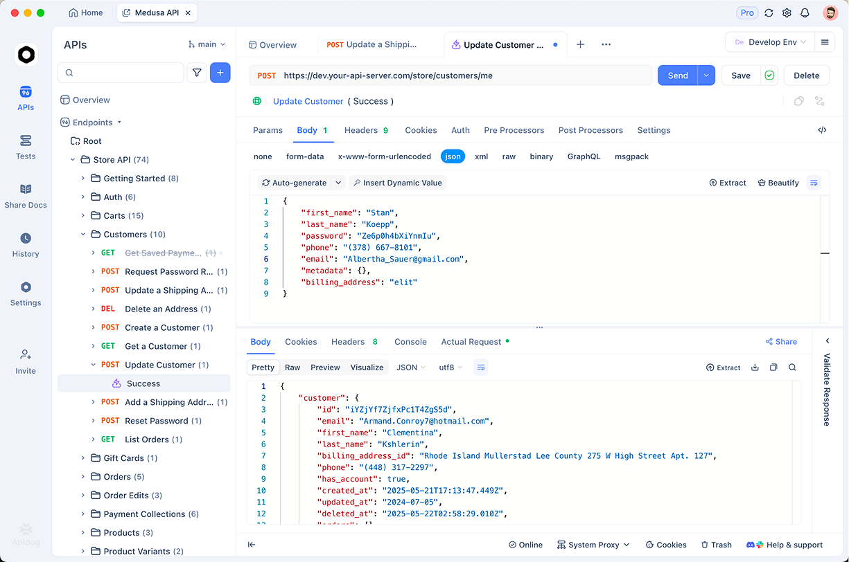 screenshot of Apidog