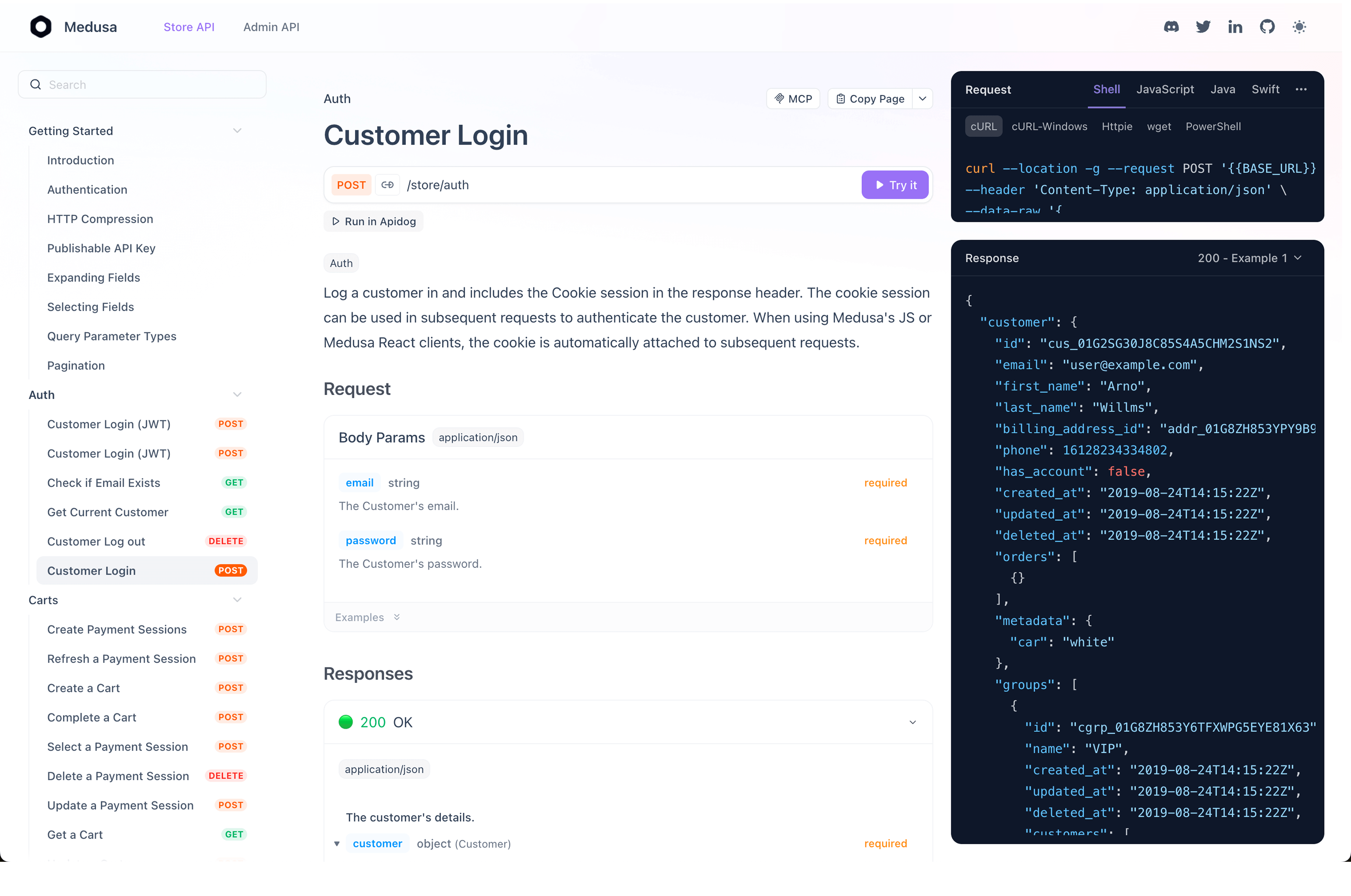 screenshot of Apidog