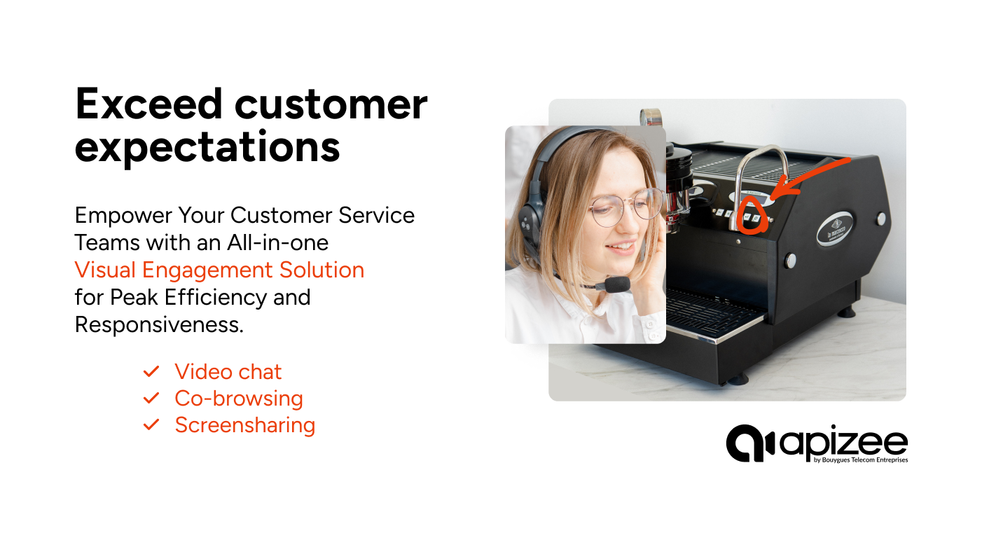 screenshot of Apizee