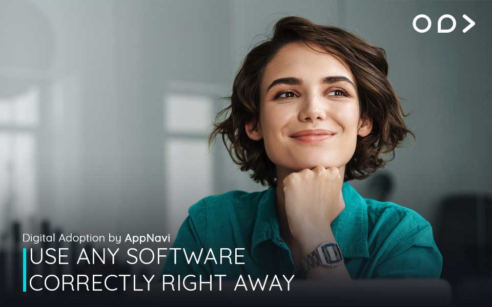 screenshot of AppNavi