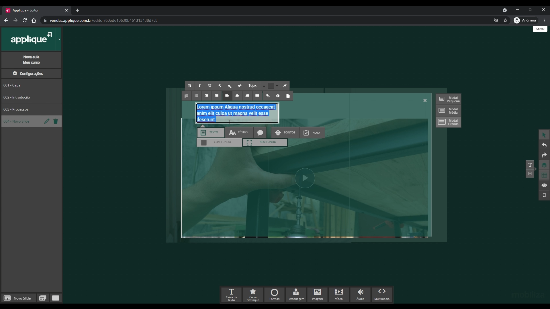 screenshot of Applique