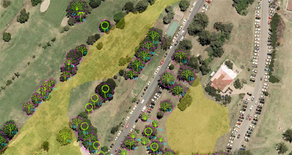 screenshot of ArborCAD