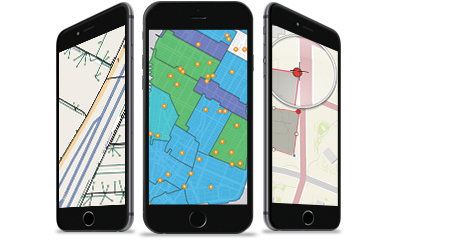screenshot of ArcGIS