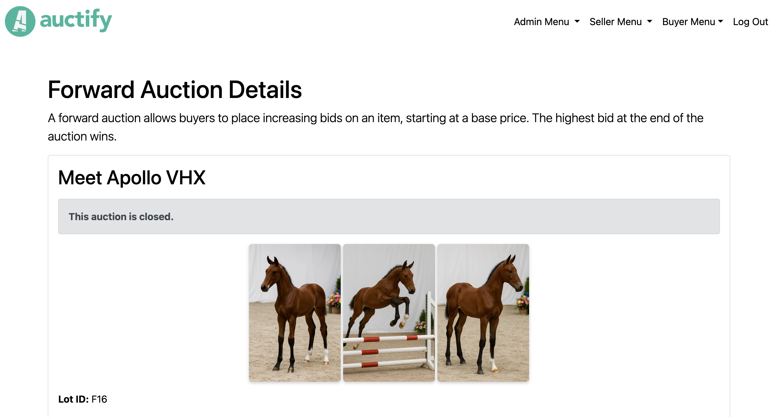 screenshot of Auctify