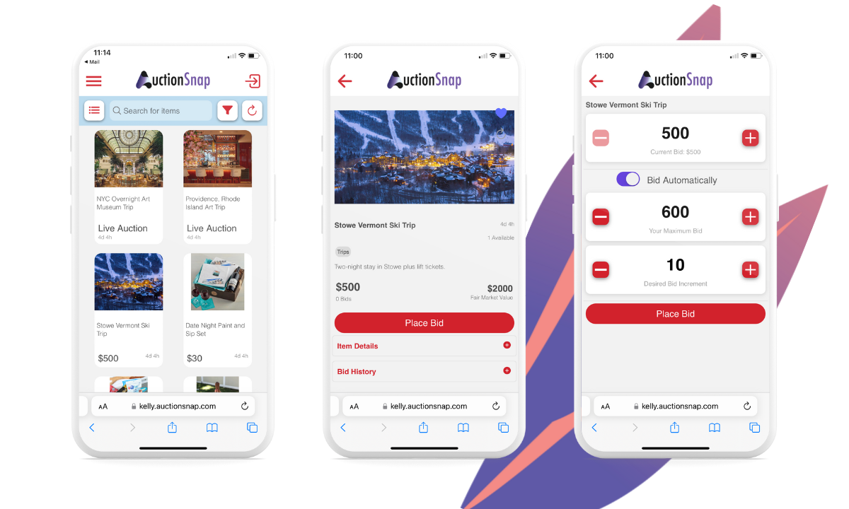 screenshot of AuctionSnap