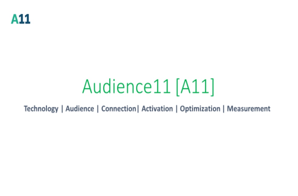screenshot of Audience11