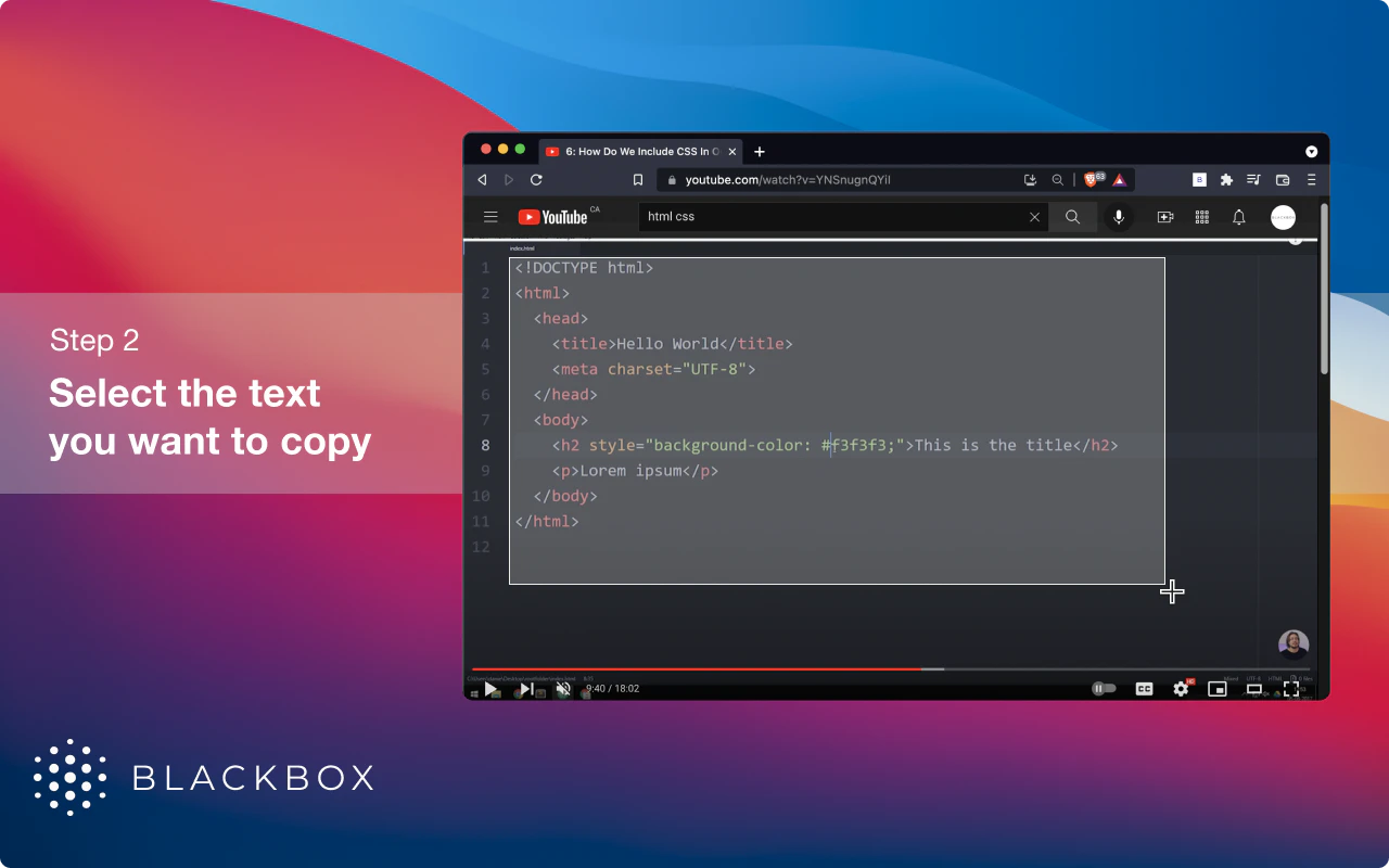 screenshot of BLACKbox