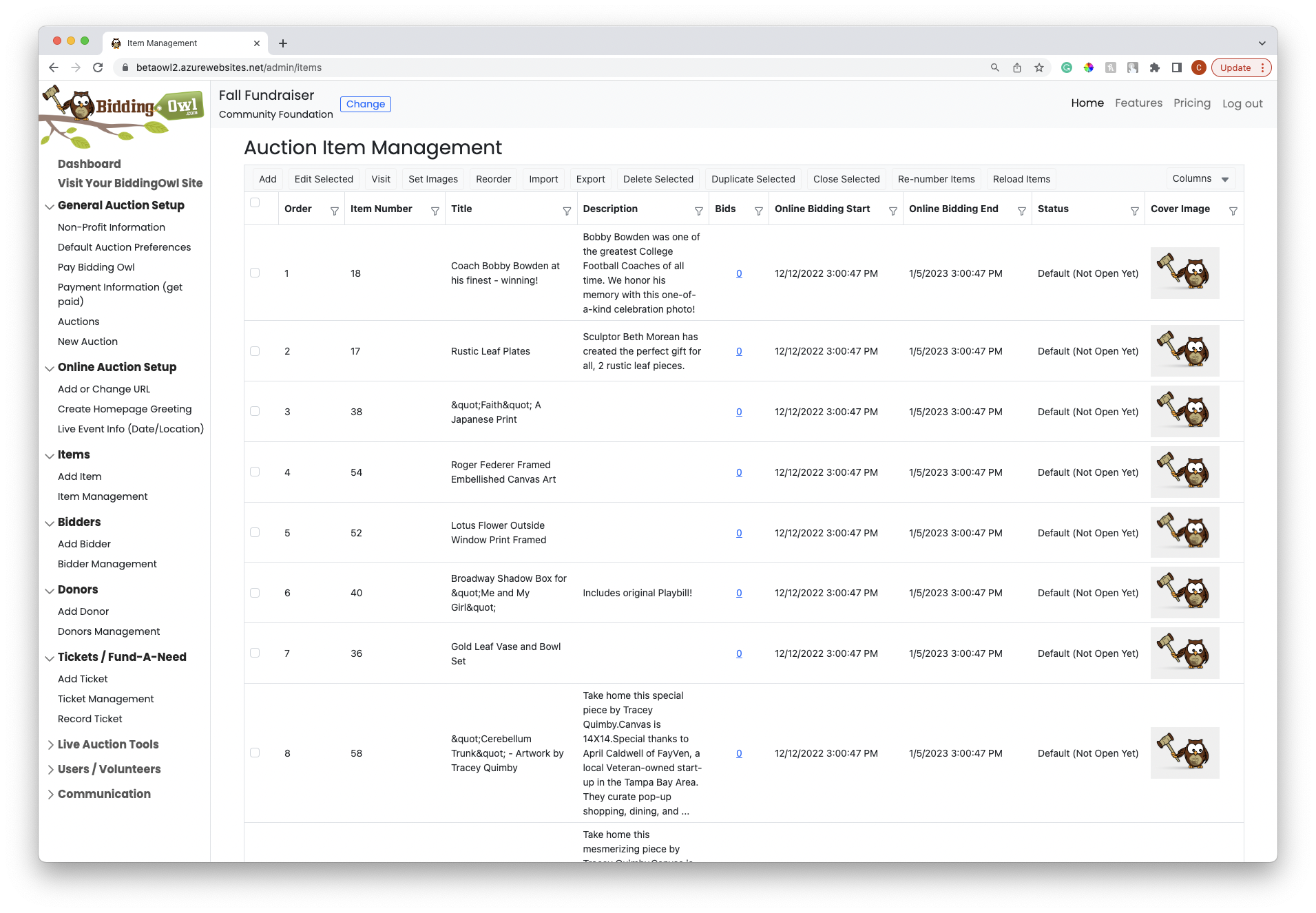 screenshot of BiddingOwl.com