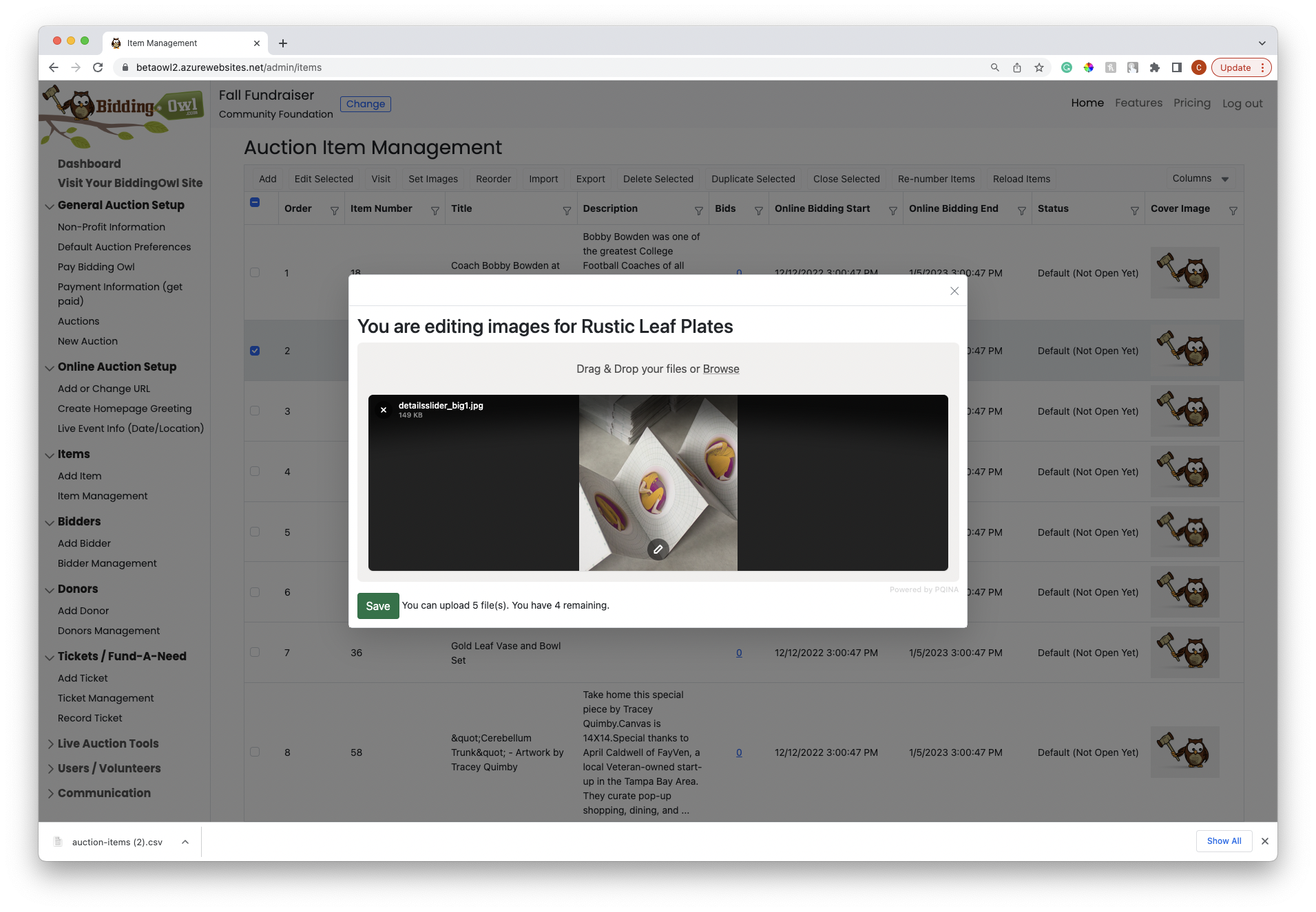 screenshot of BiddingOwl.com