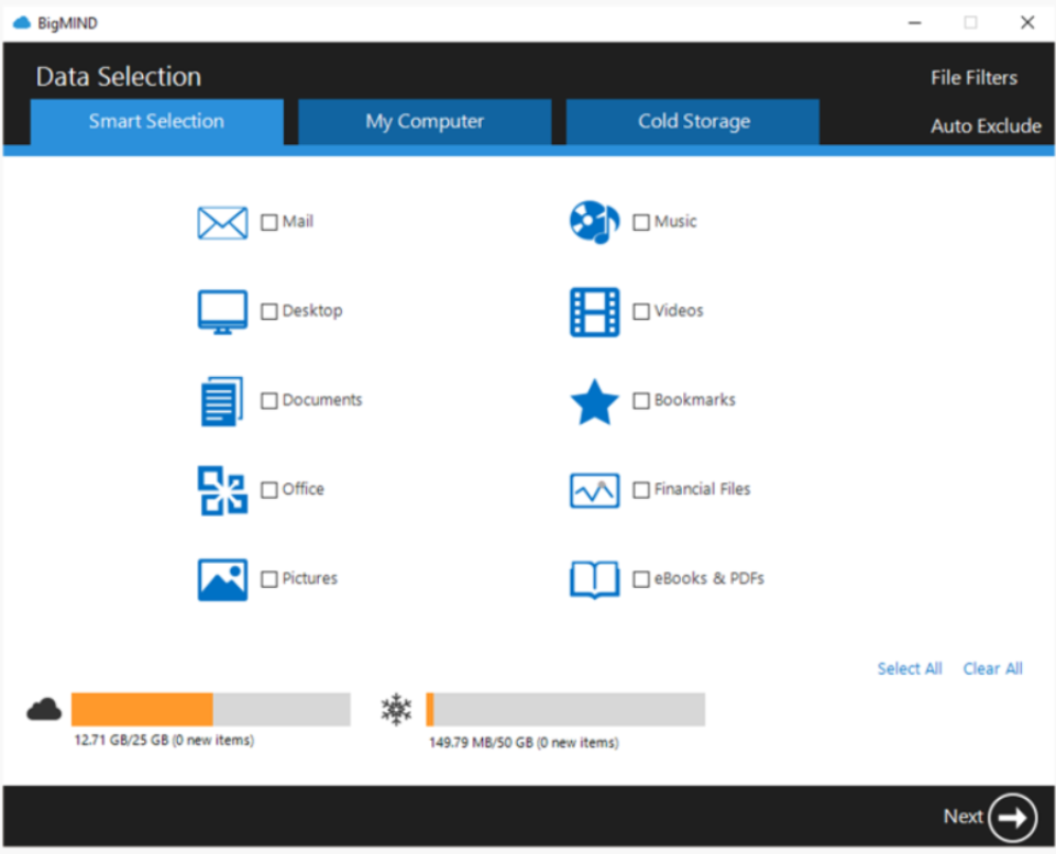 screenshot of BigMIND