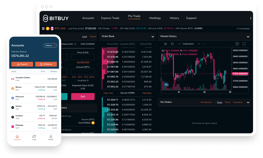 screenshot of Bitbuy