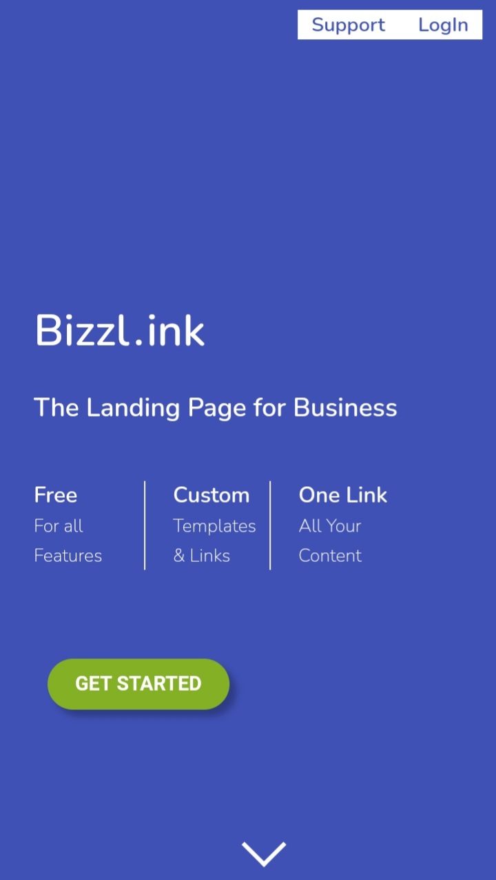 screenshot of Bizzl.ink