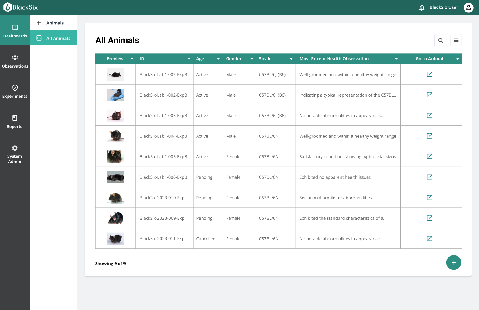 screenshot of BlackSix