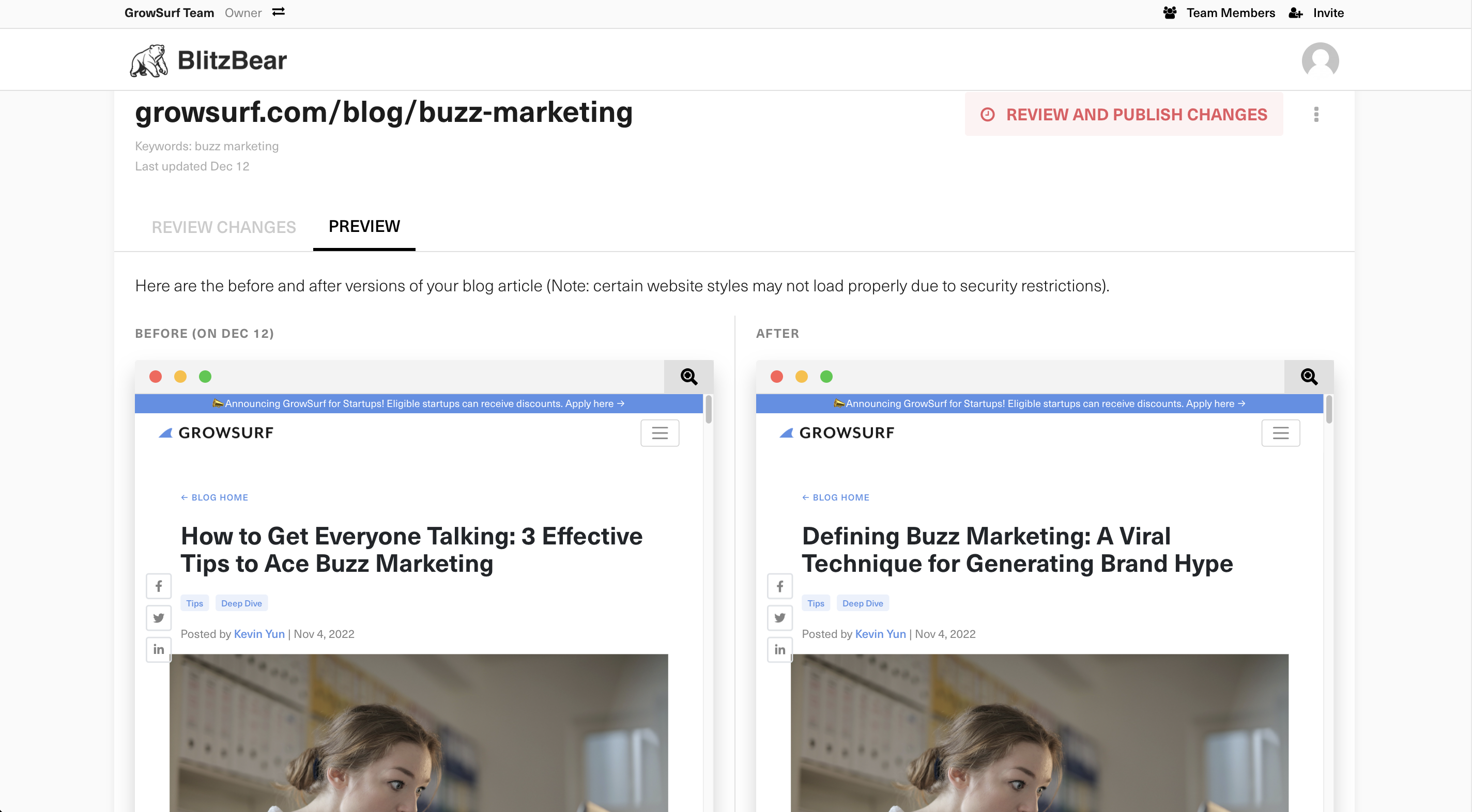 screenshot of BlitzBear