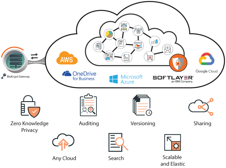 screenshot of BluVault