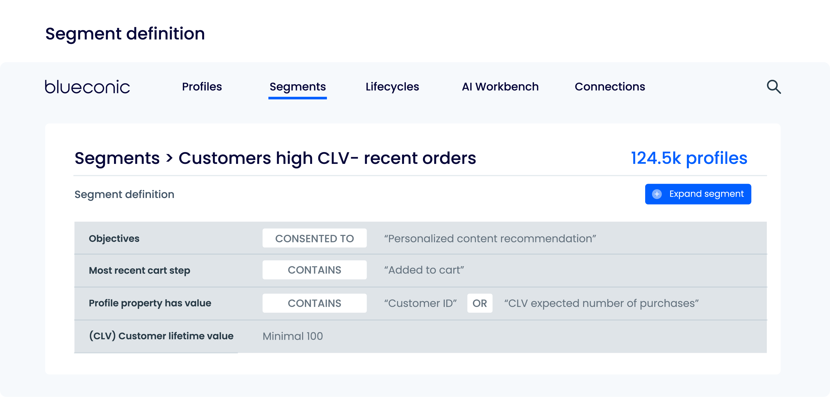 screenshot of BlueConic