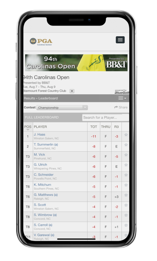 screenshot of BlueGolf