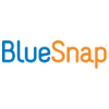 screenshot of BlueSnap