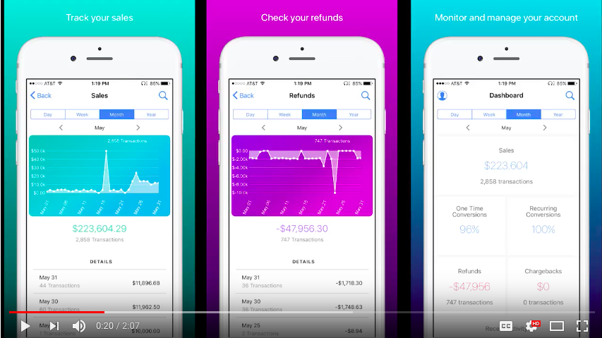 screenshot of BlueSnap
