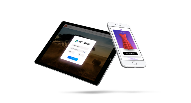 screenshot of BlueSnap