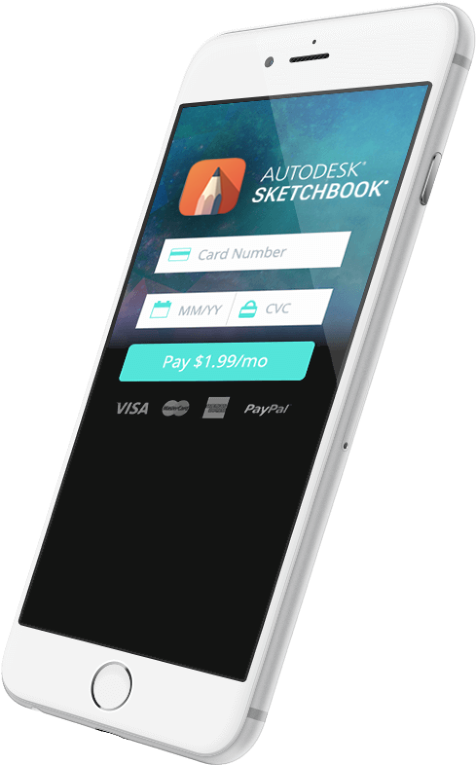 screenshot of BlueSnap