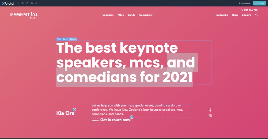 screenshot of Blutui