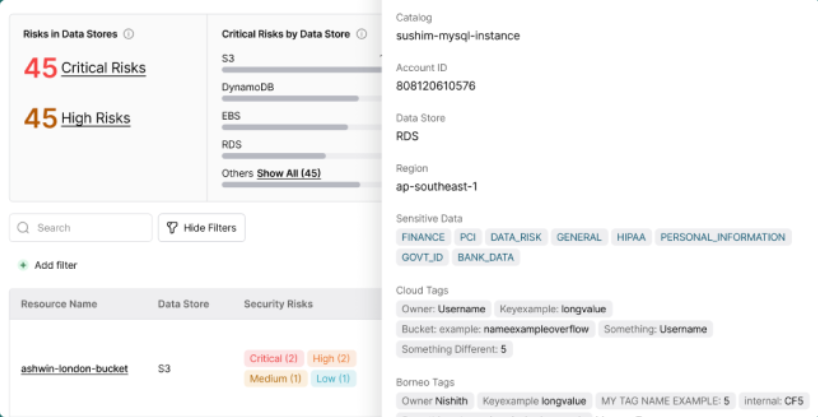 screenshot of Borneo