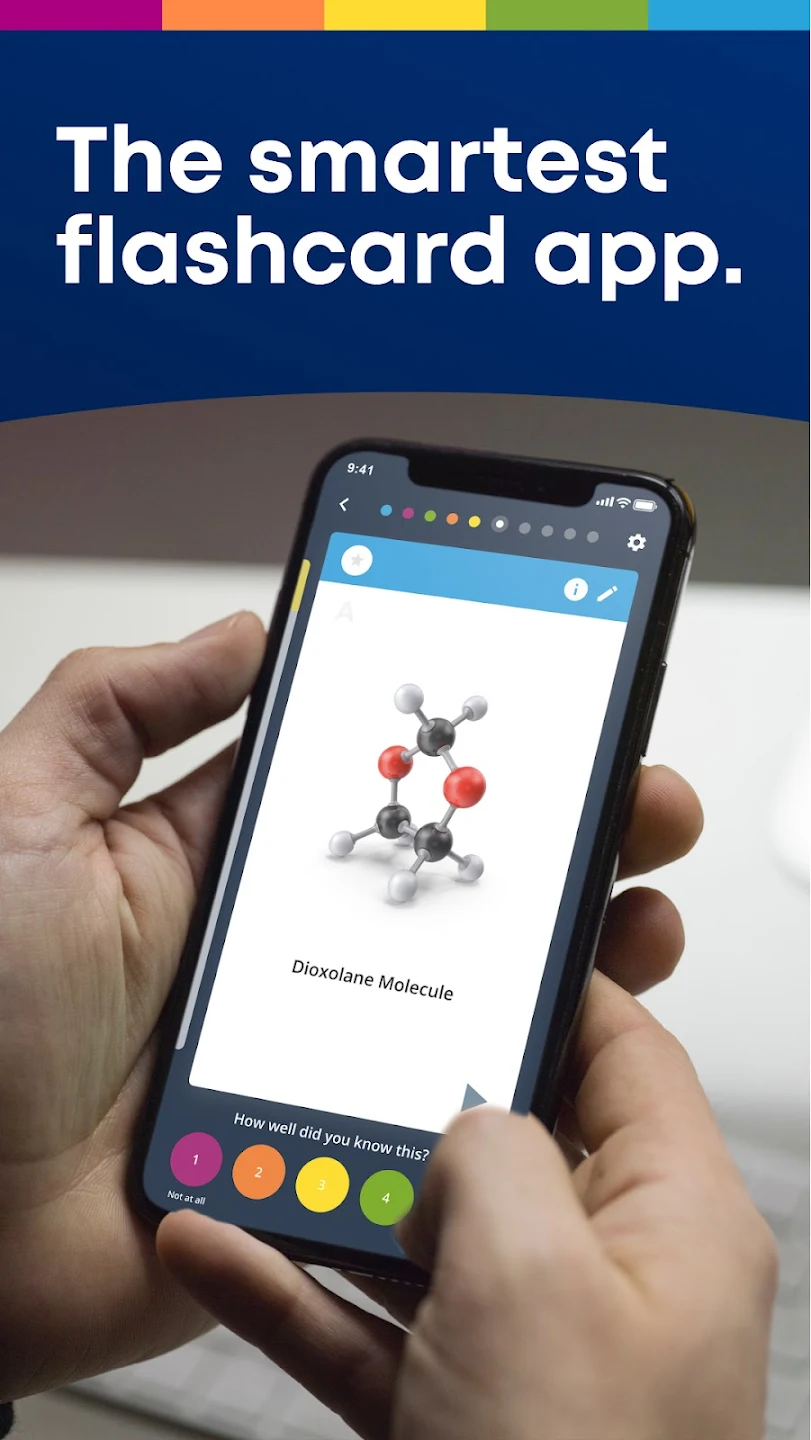 screenshot of Brainscape