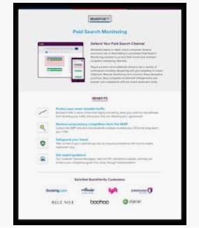 screenshot of Brandverity