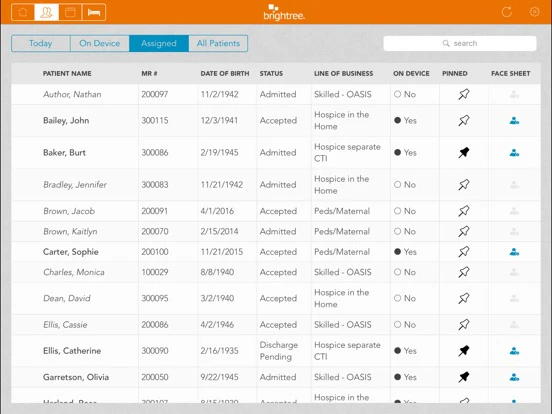 screenshot of Brightree
