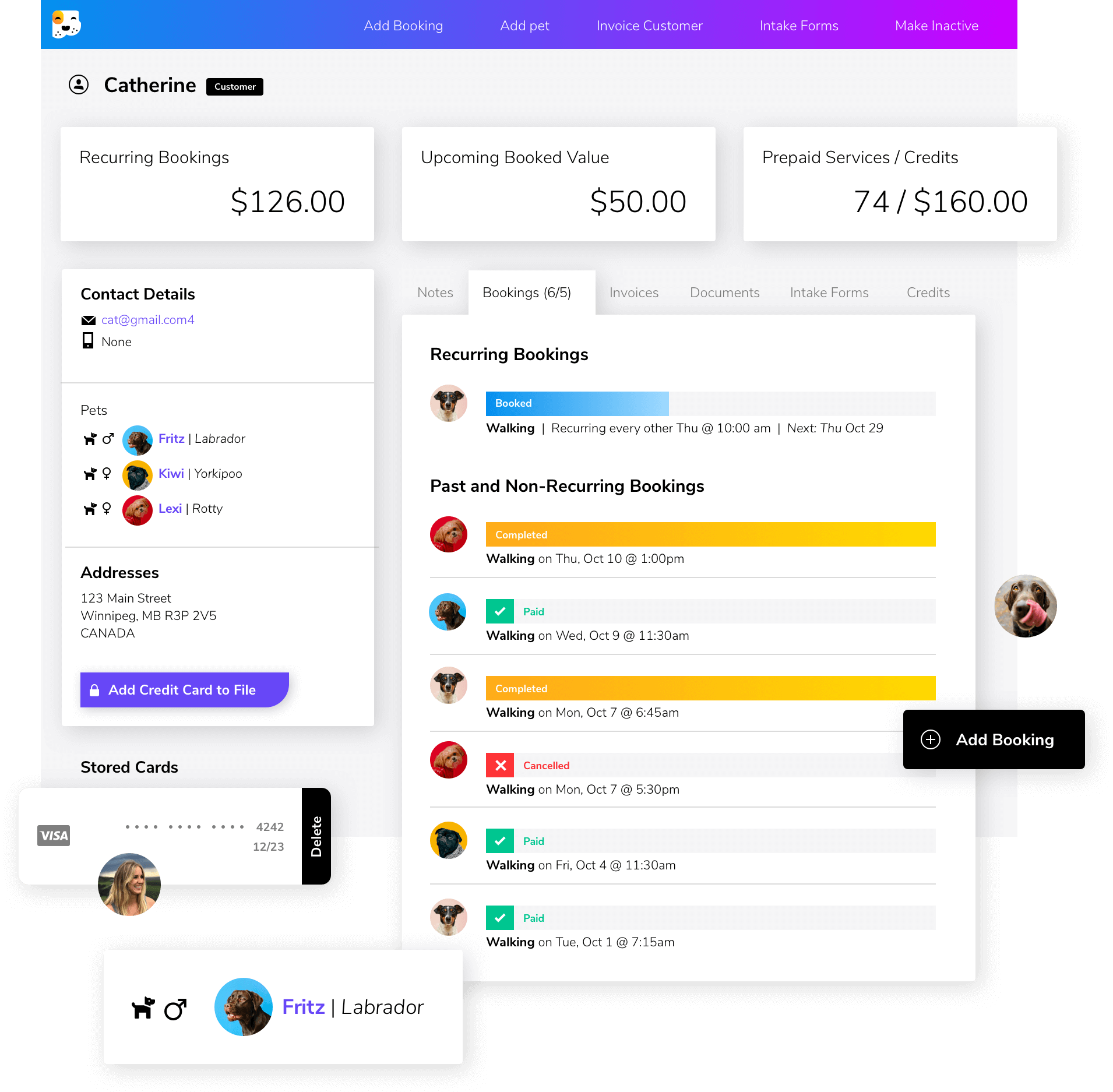 screenshot of BusyPaws