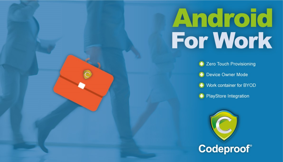 screenshot of Codeproof