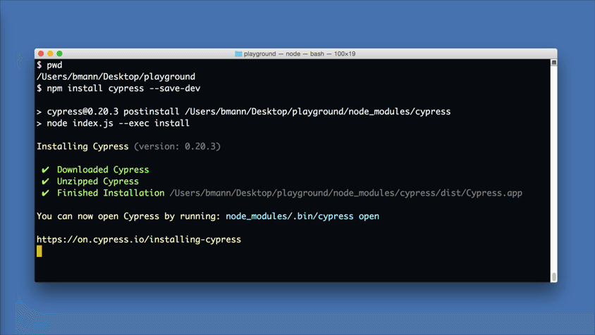 screenshot of Cypress