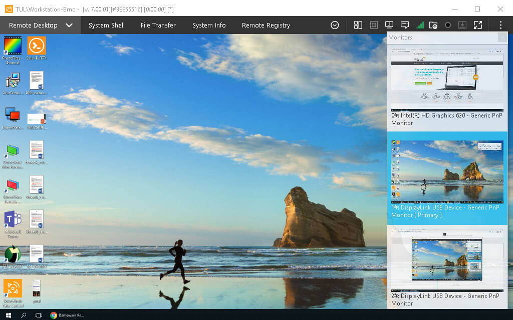 screenshot of Dameware