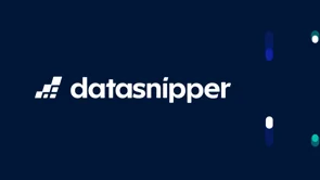 screenshot of DataSnipper