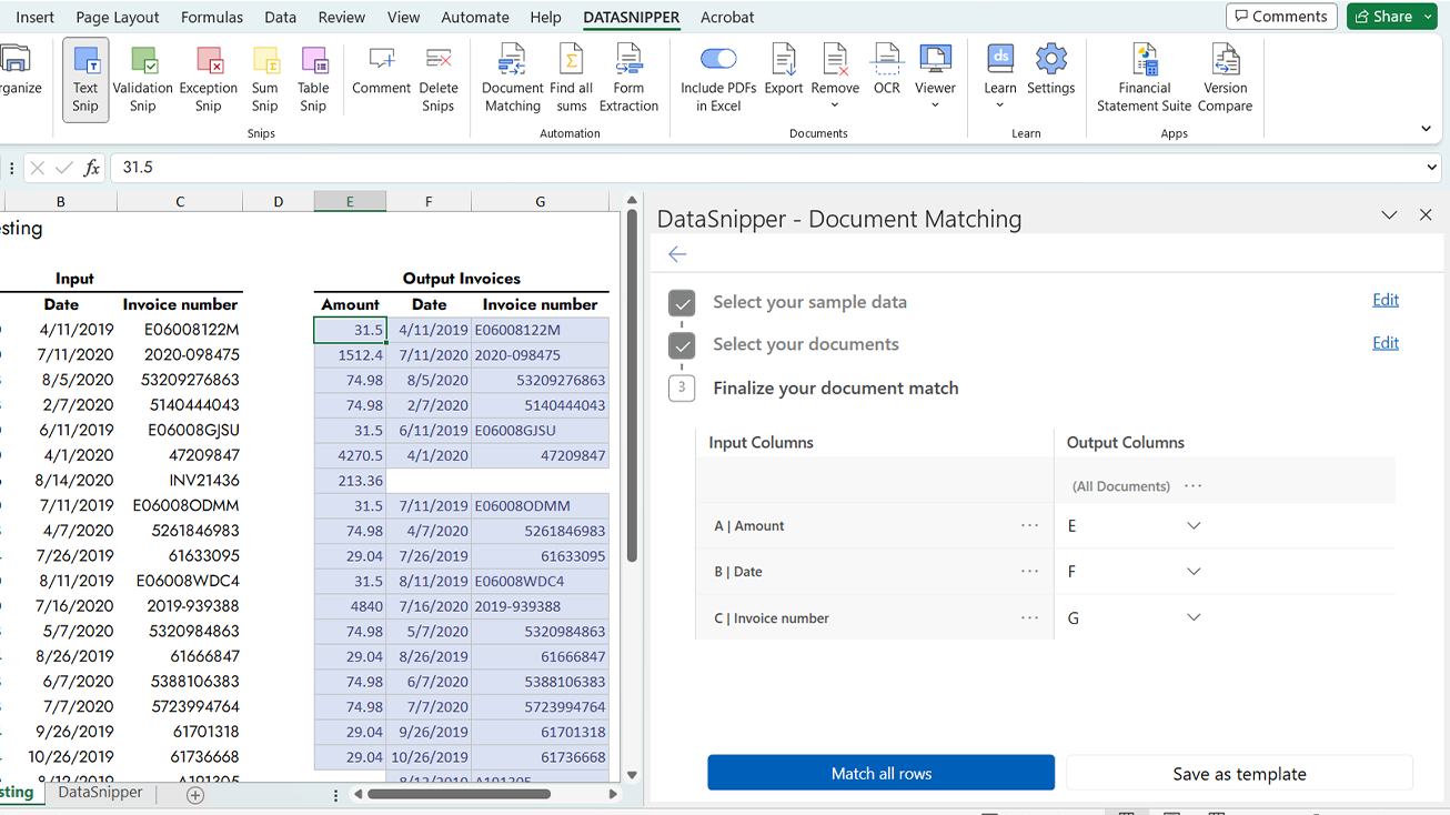 screenshot of DataSnipper