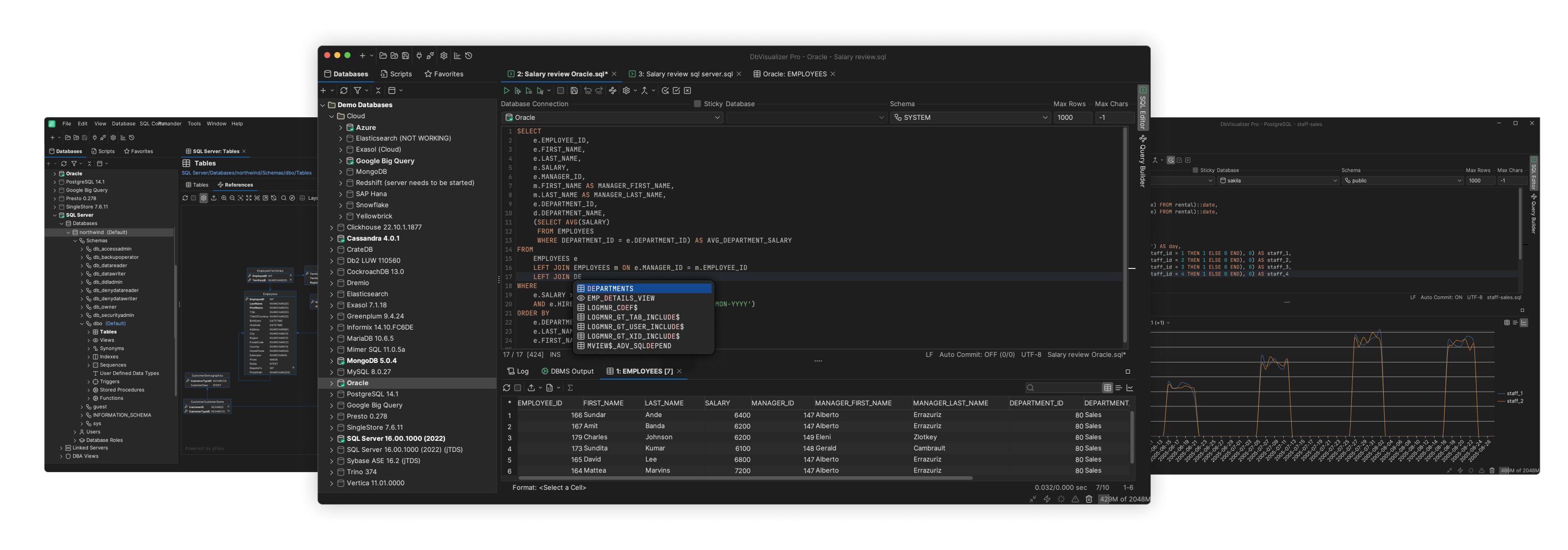 screenshot of DbVisualizer