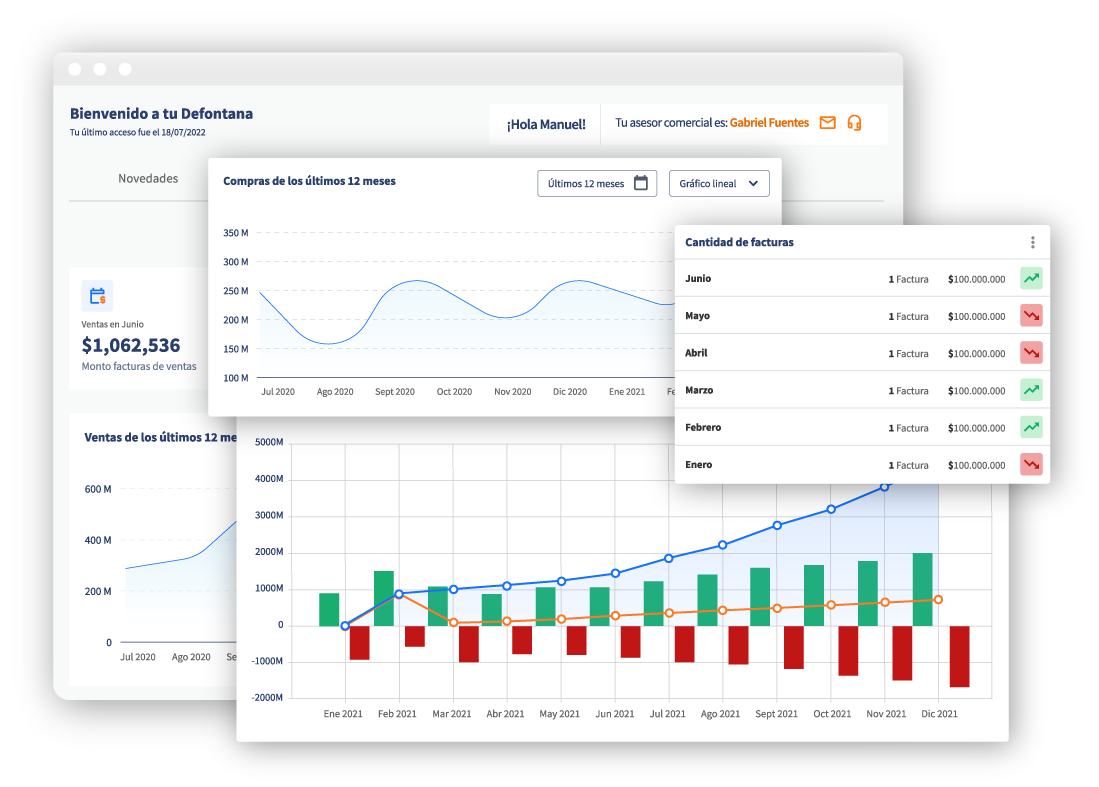 screenshot of Defontana