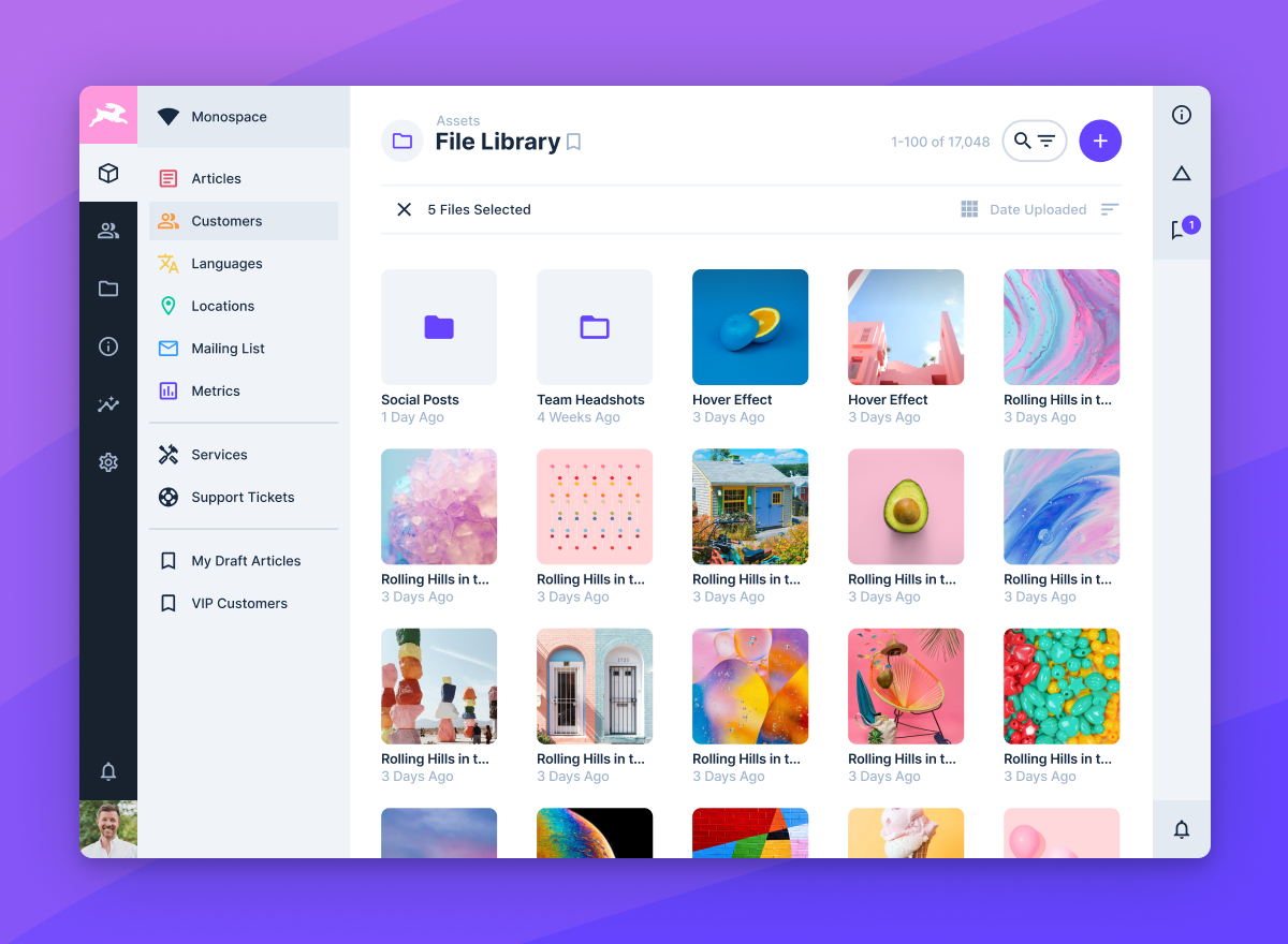 screenshot of Directus