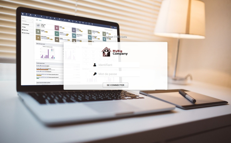 screenshot of Dolibarr