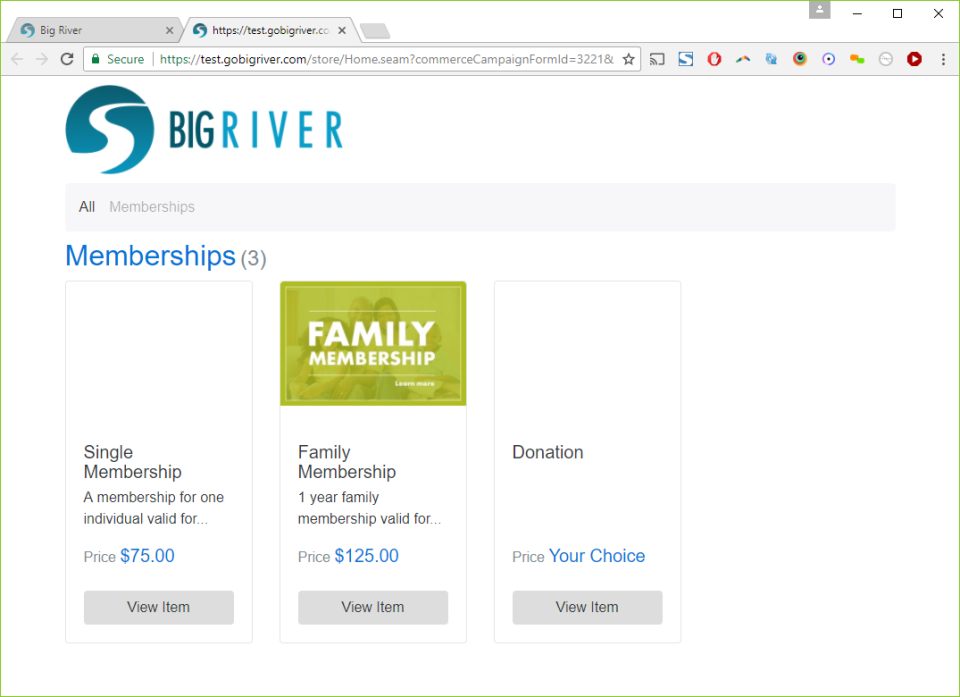 screenshot of DonorPoint