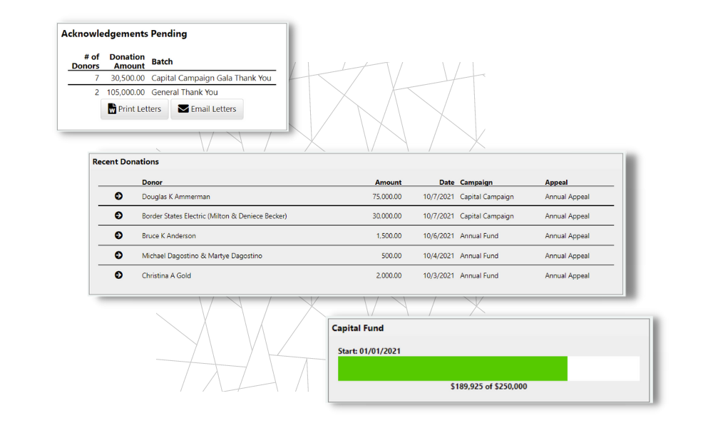 screenshot of DonorSnap
