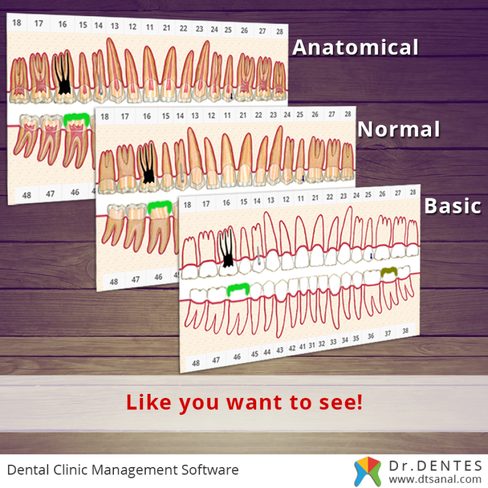 screenshot of Dr.DENTES