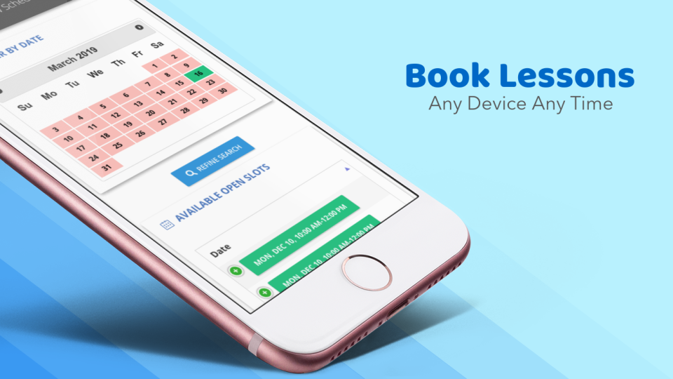 screenshot of DrivingSchoolSoftware.com
