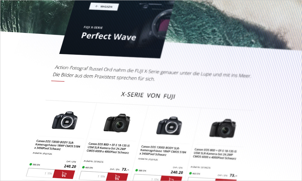 screenshot of E-Business-Plattform