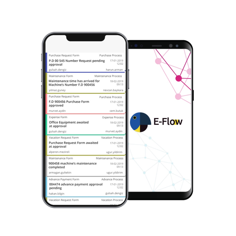 screenshot of E-FLOW